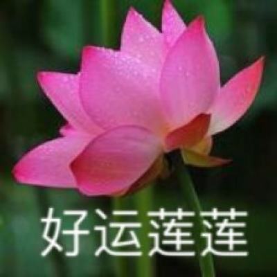 04版要闻 - 王沪宁会见越南总理范明政